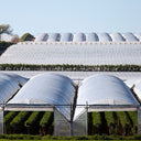 Transparentes ADVANCE AT6103 PE-Klebeband, UV-beständig und rückstandsfrei