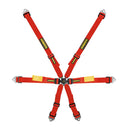 SCHROTH Enduro 2x2 FHR-optimierter 6-Punkt Rennsportgurt