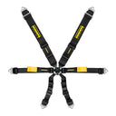 SCHROTH ENDURO 3x2 6-Punkt Rennsportgurt für Langstreckenrennen