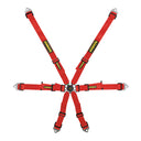 SCHROTH FLEXI 2x2 Rennsportgurt mit flexiblem Pull-Up/Down-System
