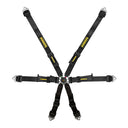 SCHROTH FLEXI 2x2 Rennsportgurt mit flexiblem Pull-Up/Down-System