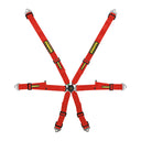 SCHROTH PROFI 2x2 FHR-optimierter 6-Punkt Rennsportgurt