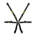 SCHROTH PROFI 2x2 FHR-optimierter 6-Punkt Rennsportgurt